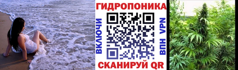 Шишки марихуана марихуана Красновишерск